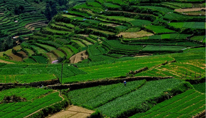 Vacation, vacation places in june, vacation places in june in india, cool places to vacation in june, best places for vacation in june in india, cool places for vacation in india, cool places in india in june