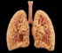 Popcorn lungs, Bronchiolitis Obliterans, popcorn lungs meaning, popcorn lungs symptoms, popcorn lung vaping, popcorn lung treatment,