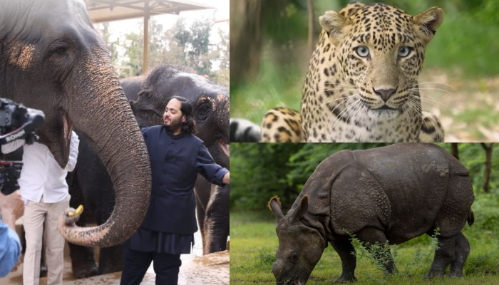 Anant Ambani's Vantara