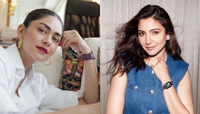 Mrunal Thakur Trolled