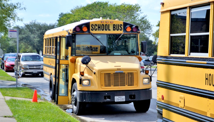 Why School Buses Are Yellow