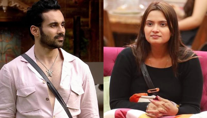 Bigg Boss 19 Double Elimination