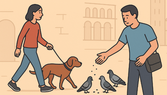 Things Illegal in Italy