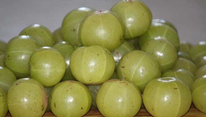Amla